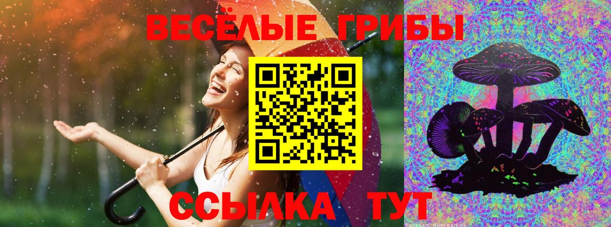 Галлюциногенные грибы прущие грибы  Вход с VPN  Рассказово  сколько стоит  Псилоцибиновые грибы Magic Shrooms 